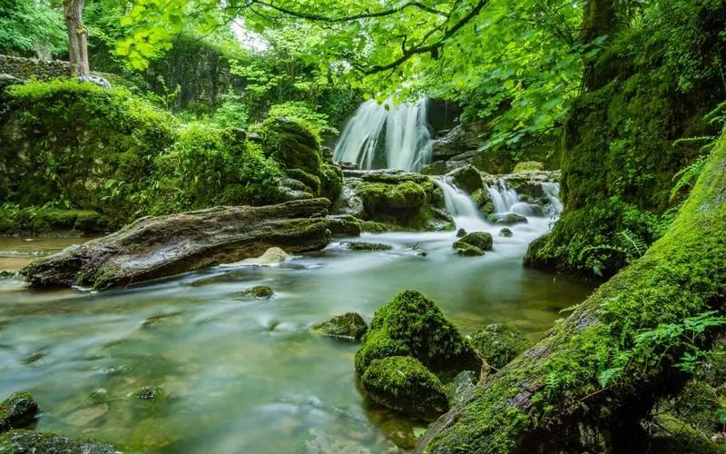 高端稳定性智慧